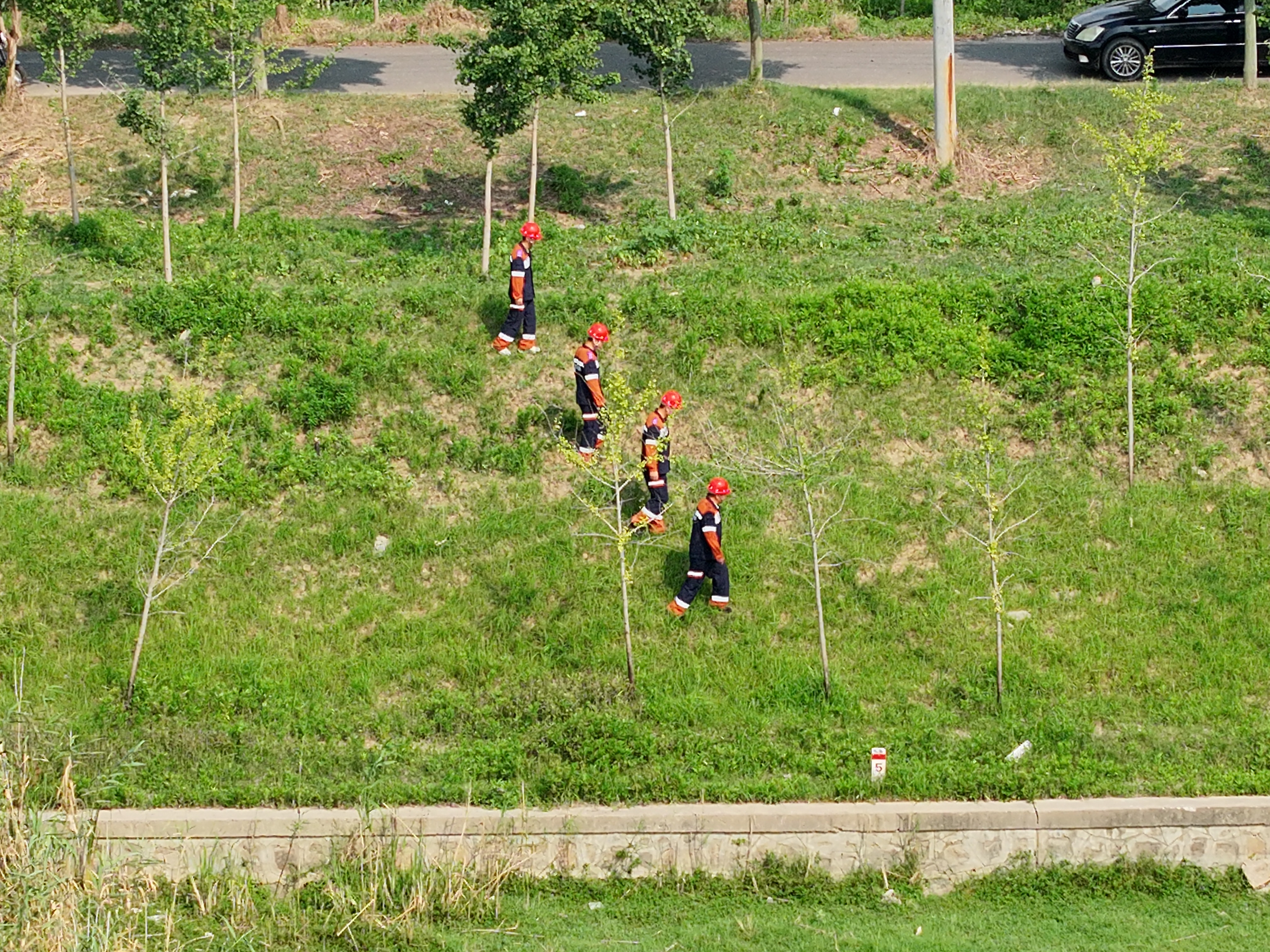 DJI_20260807151016_0007_V.JPG